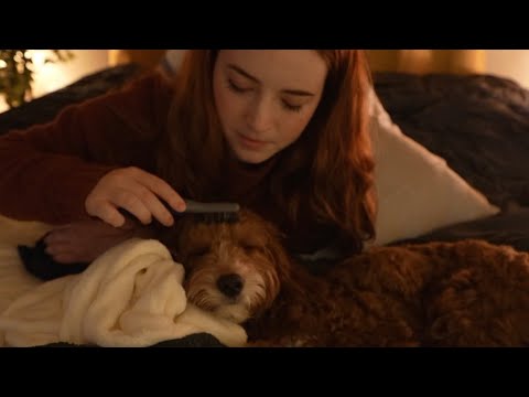 ASMR Sleepy Puppy Pamper (whispered rambling)