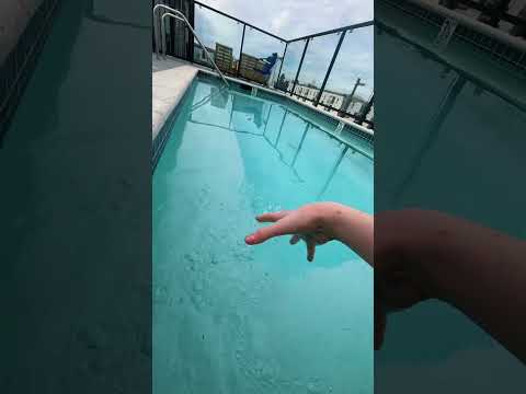 guess the celebrity i’m thinking of asmr game at the pool #asmr #relaxing #asmrgames #lofiasmr #fyp