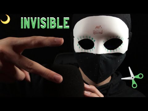 ASMR INVISIBLE TRIGGERS