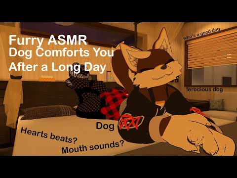 Furry ASMR Dog Comforts You After a Long Day
