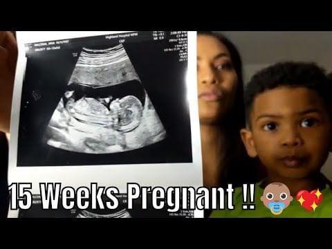15 Weeks Pregnant Update - Baby #2 Pregnancy Announcement !!