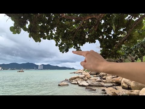 ASMR 💙🇻🇳 with SEA and PLANTS 🌊 🌴 Hand sounds and movements, leaves rustling, tracing