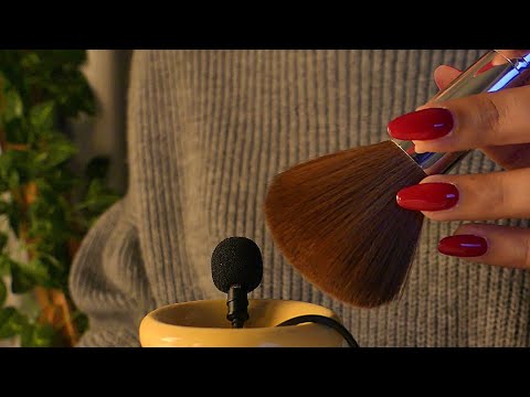 ASMR mini mic brushing - so relaxing 🎤🖤