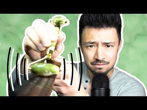 🔴 Building Up your ASMR TINGLES!!!