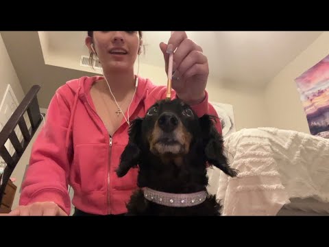 Trying ASMR on my dog 😂