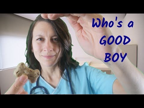 ASMR Vet Checkup, Medical Roleplay. You're a good boy!