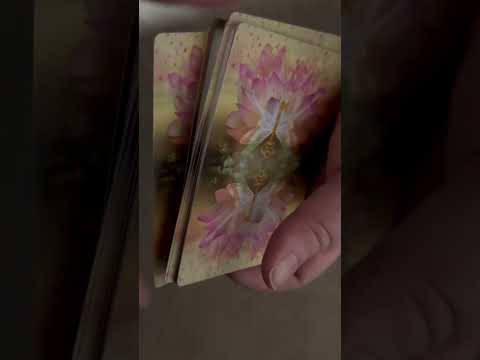 What do the fairies want to tell you today? #fairiesoracle #oraclecards