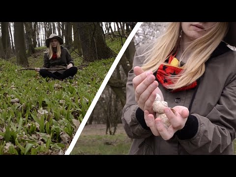 nature ASMR - 🌼 First spring flowers 🌼 and snail shell sounds 🐚