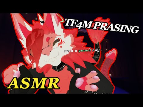 [Furry ASMR] Sweet Yuko Whispers lovely Praises and Gently Pets You to Sleep (TF4M)