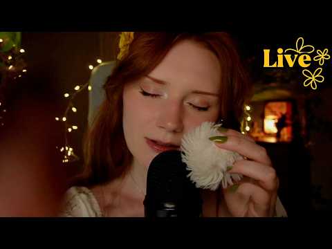 ASMR Clicky Whisper, X marks, Plucking,Mouth sounds, Beeswax, Thunderstorm Light sabers 💜Twitch live