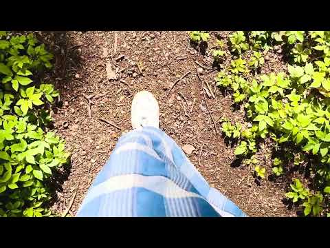 ASMR feet in runners walking to peace oasis water trickling feel good