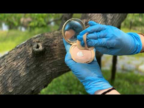 ASMR Nature Ambience | Giving our tree sis a full diva makeover 💅🌳