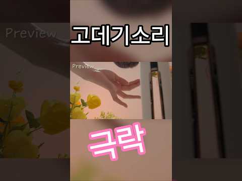잠이 쏟아진다..고데기&헤어컷 소리  #asmr #asmrhaircut #asmrhairsounds