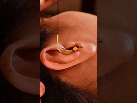 眠くなる… #耳かきで睡眠導入 #asmr #リラックス # #relaxing マッサージ #massage