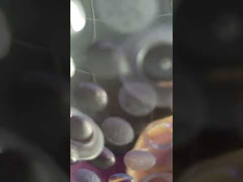 Visual Oddity (asmr) #short