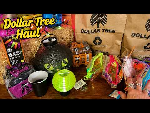 ASMR~Dollar Tree Haul! (Soft Spoken Version) Paper & Plastic Crinkles!