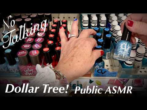 Shopping Dollar Tree! (No Talking Version) Public ASMR With Rebecca!
