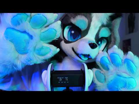 Paws (Beans🐾) ASMR