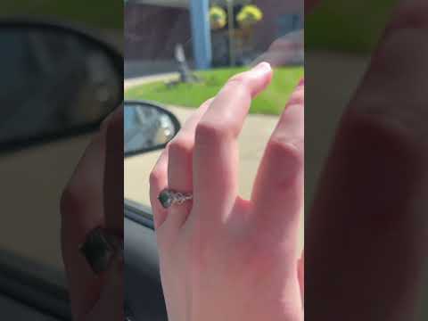 Car ASMR🚗