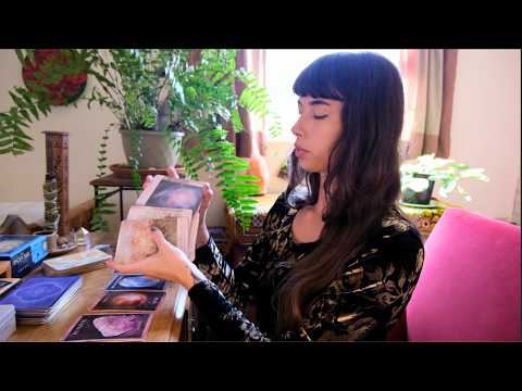 What You Need to Hear This Week ✨ Intuitive Tarot & Oracle Card Reading