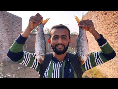 ASMR Fish Cooking 🐟