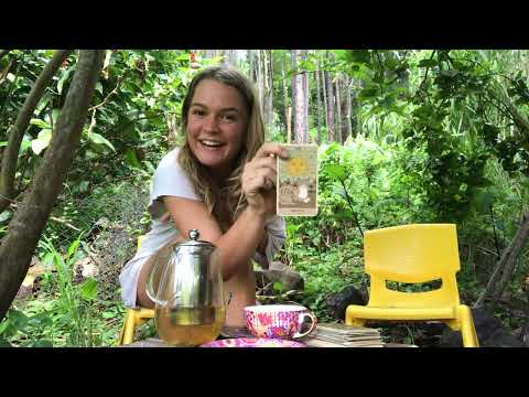 Tea Time with the Miracle Tribe🫖🌿💫