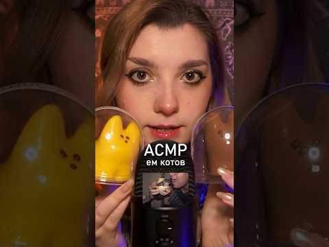 АСМР ем котов 😼 #beatrisiusasmr #триггеры #asmrtriggers #asmr