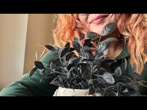 asmr | taking care of u // haircut 💇🏽‍♀️ 