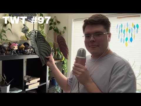 Repeating My Plant's Names as Trigger Words (TWT #97) | Eclectic ASMR