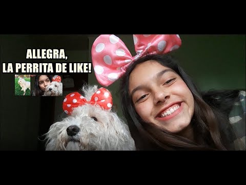 TAG DE LA MASCOTA!! TODO SOBRE ALLEGRA!! | SOFIWI