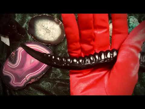 OPERA GLOVES ✋  WHISPER 👄👁️ WICCA  in DUTCH 🇳🇱  [[ASMR]]