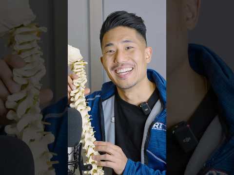 Chiropractor Tries ASMR On Me For The First Time @DrErnestKim #asmr #shorts