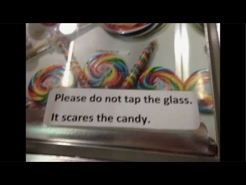 Don’t tap the glass it scares the asmr-tist😣