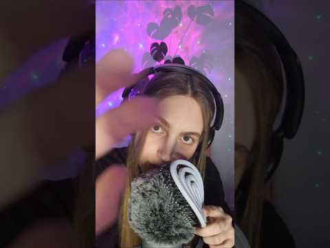 Livestream-Highlight