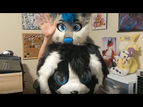 [Furry ASMR] Head/scalp massage with fursuit head (no talking)