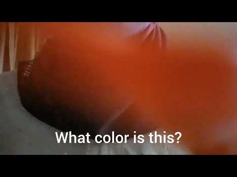 ASMR | Color Blind Test in Bahasa (Endless camera tapping)