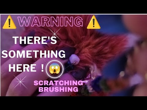 ⚠️Warning⚠️ ASMR for People Who Don't Get Tingles (Brushing, Scratching, Brain Massage) No Talking