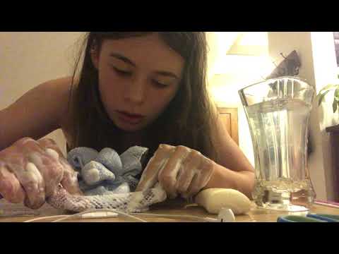 Trying ASMR with a loofah and soap! 