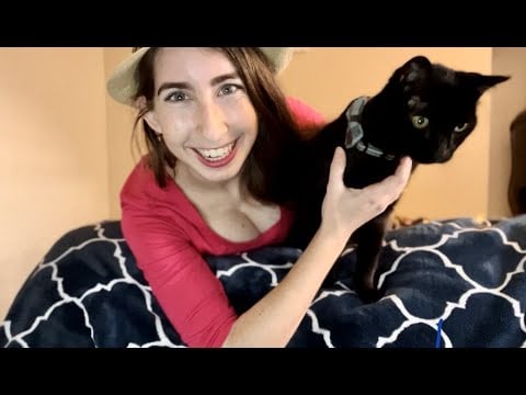ASMR With My Cat (Kinda) *Lo-fi*