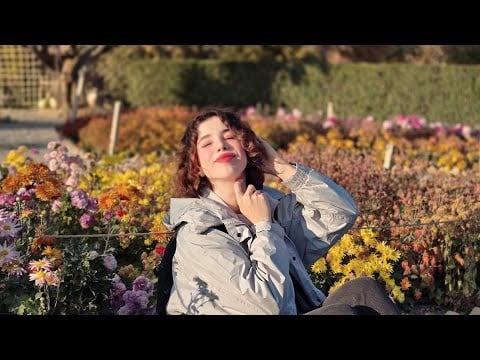 ASMR Nature Sounds Vlog 🌿 Relaxing Birdsong & Fun Moments for Deep Sleep