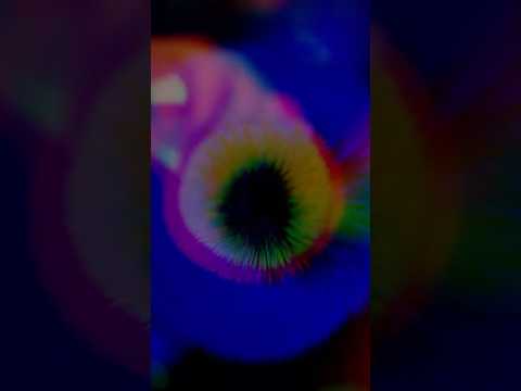 4K trippy asmr brushes