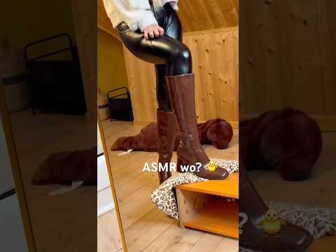 Welcher ASMR Sound gefällt dir denn am besten? 🪲