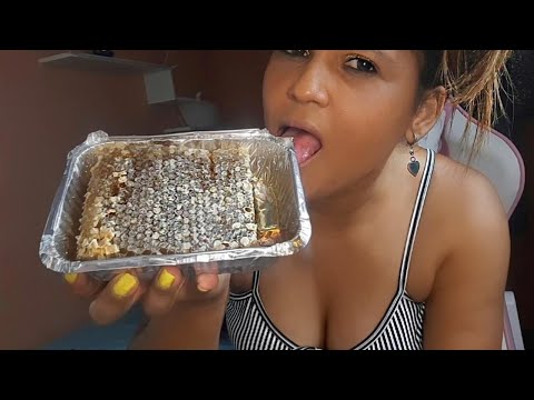 ASMR FAVO DE MEL 🍯