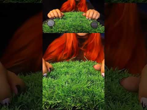 This Sound Is So Satisfying… 😍 | ASMRScratching (No Talking) #tingles #shorts #asmr