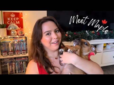 ASMR MEET MY PUPPY 🐶❤️