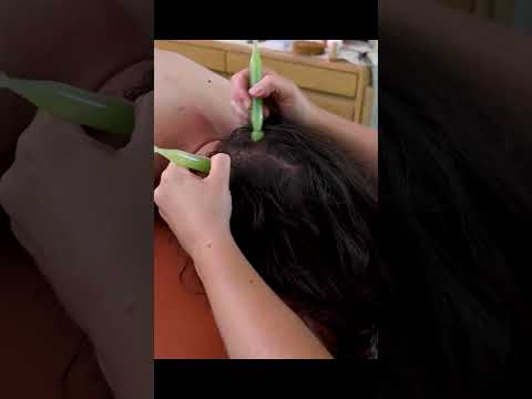 The best scalp feeling in the world #asmr #asmrsounds