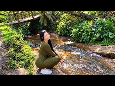 ASMR NO BOSQUE 🌸🍃