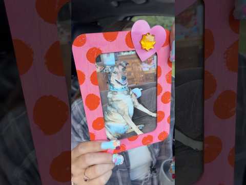 asmr/ sweet Passport’s school picture! #bestlifebybrooke #asmr #dogs #dog #asmrsoftspoken #relaxing