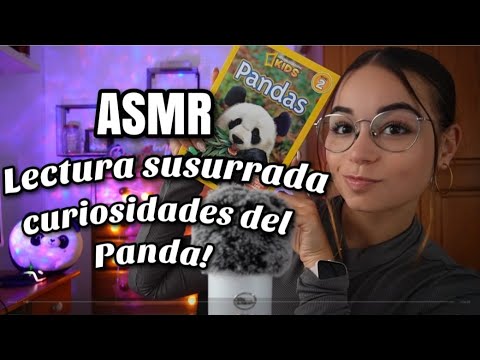 ASMR LECTURA SUSURRADA!📖 CURIOSIDADES SOBRE EL PANDA🐼🤓| ASMR en español para dormir | Pandasmr