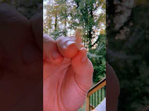Tracing with toothpick #asmr #raeasmr #visualasmr #upclose #tracing